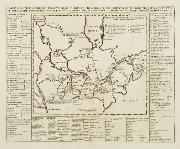 CHATELAIN,H., Carte particuliere du Fleuve Saint Louis.., antique map, old maps