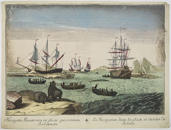 ANONYMOUS, Navigatio Piscatorum in glacie quaerentium Balaenam / La navigation dans la glace, et chercher du Baleine., antique map, old maps