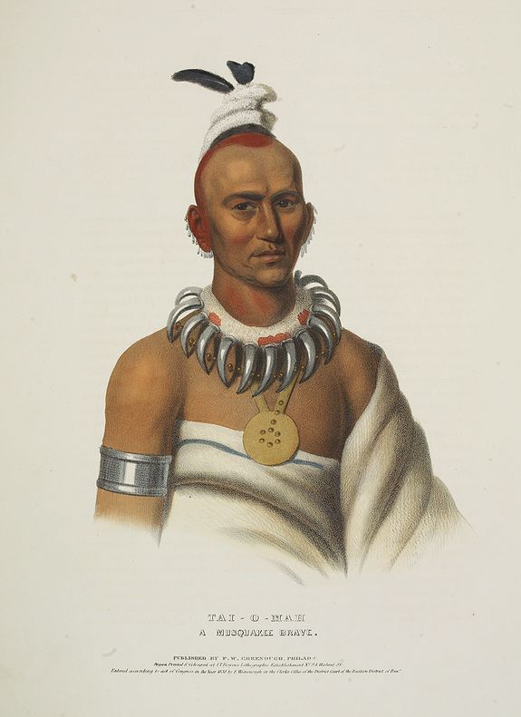 McKENNEY, Thomas Loraine / James HALL., Tai-O-Mah, a Musquakee brave., antique map, old maps