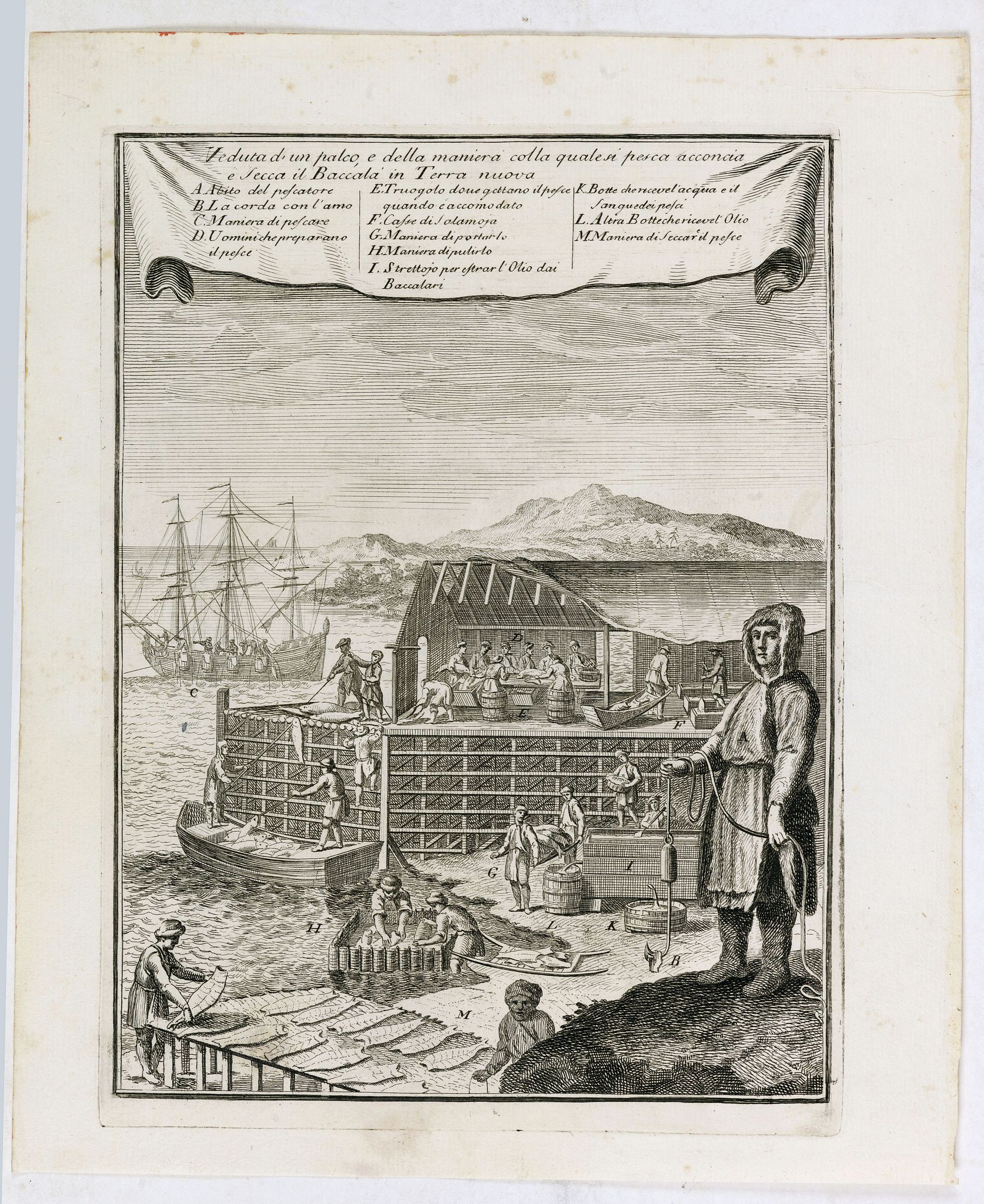 COLTELLINI, M., Veduta d’un palco, e della maniera colla quale si pesca acconcia e secca il Baccala in Terra nuova., antique map, old maps