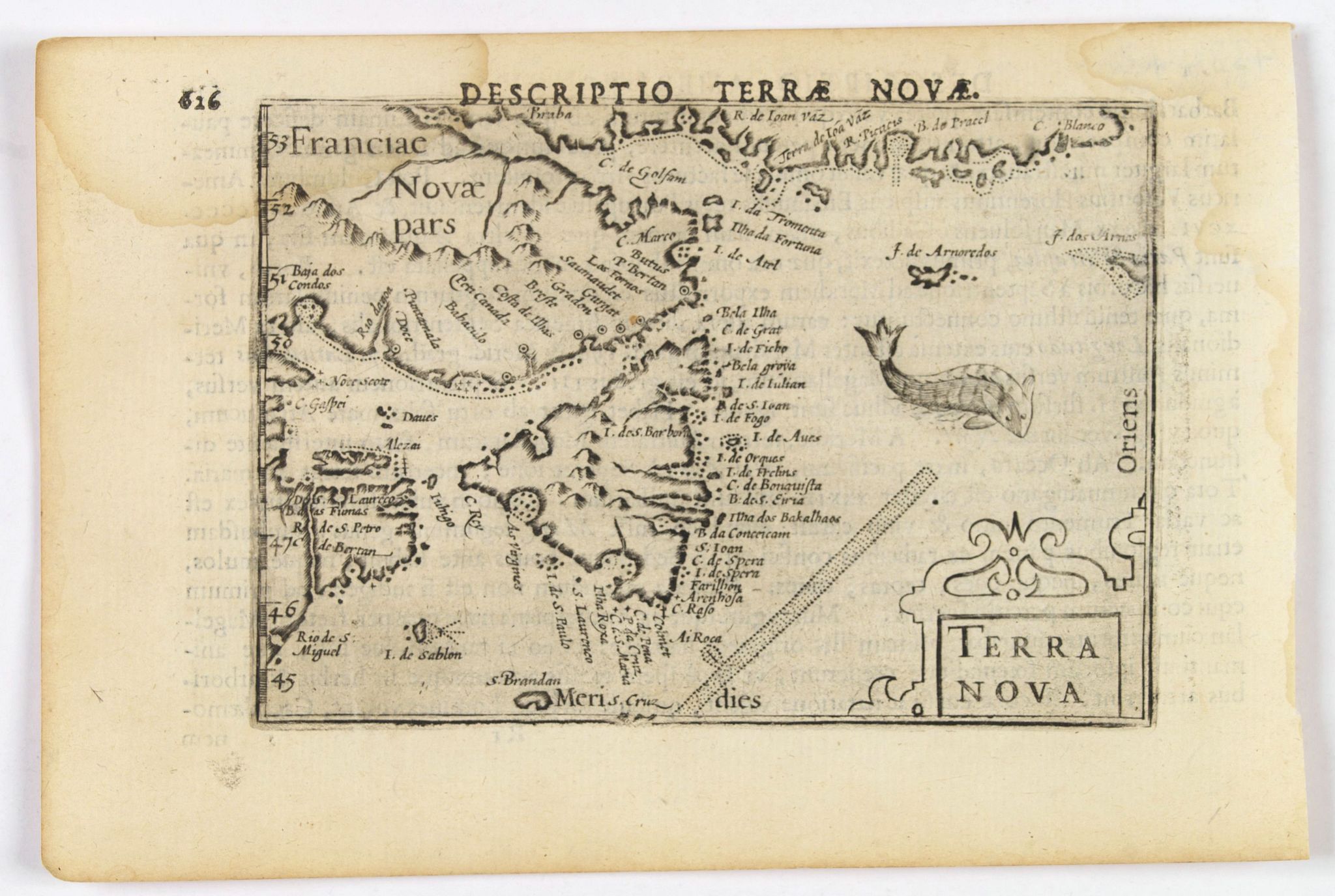 LANGENES, B. / BERTIUS, P., Terra Nova., antique map, old maps