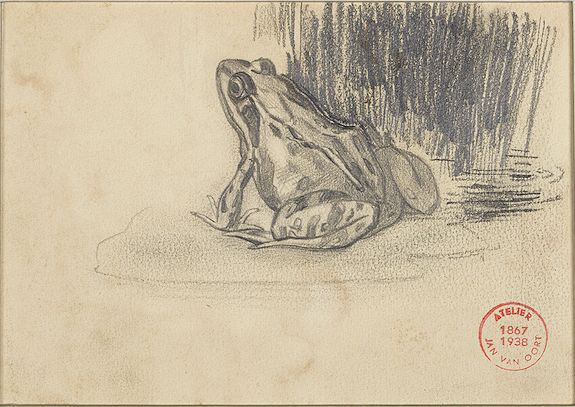 VAN OORT, J., A frog sitting on a water lily leaf, antique map, old maps