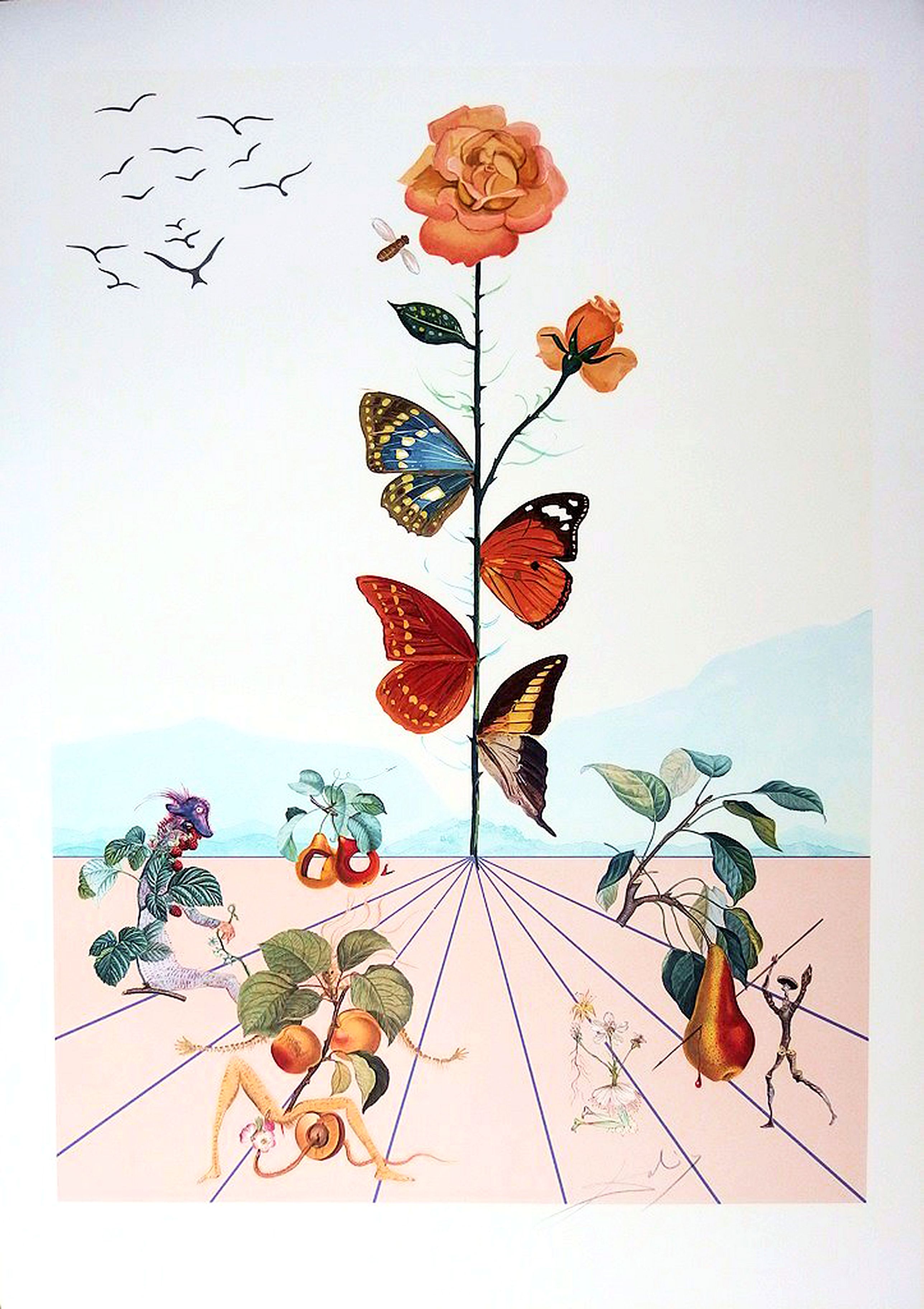DALI, S., Flordali II - La rose papillon. (The pink butterfly), antique map, old maps