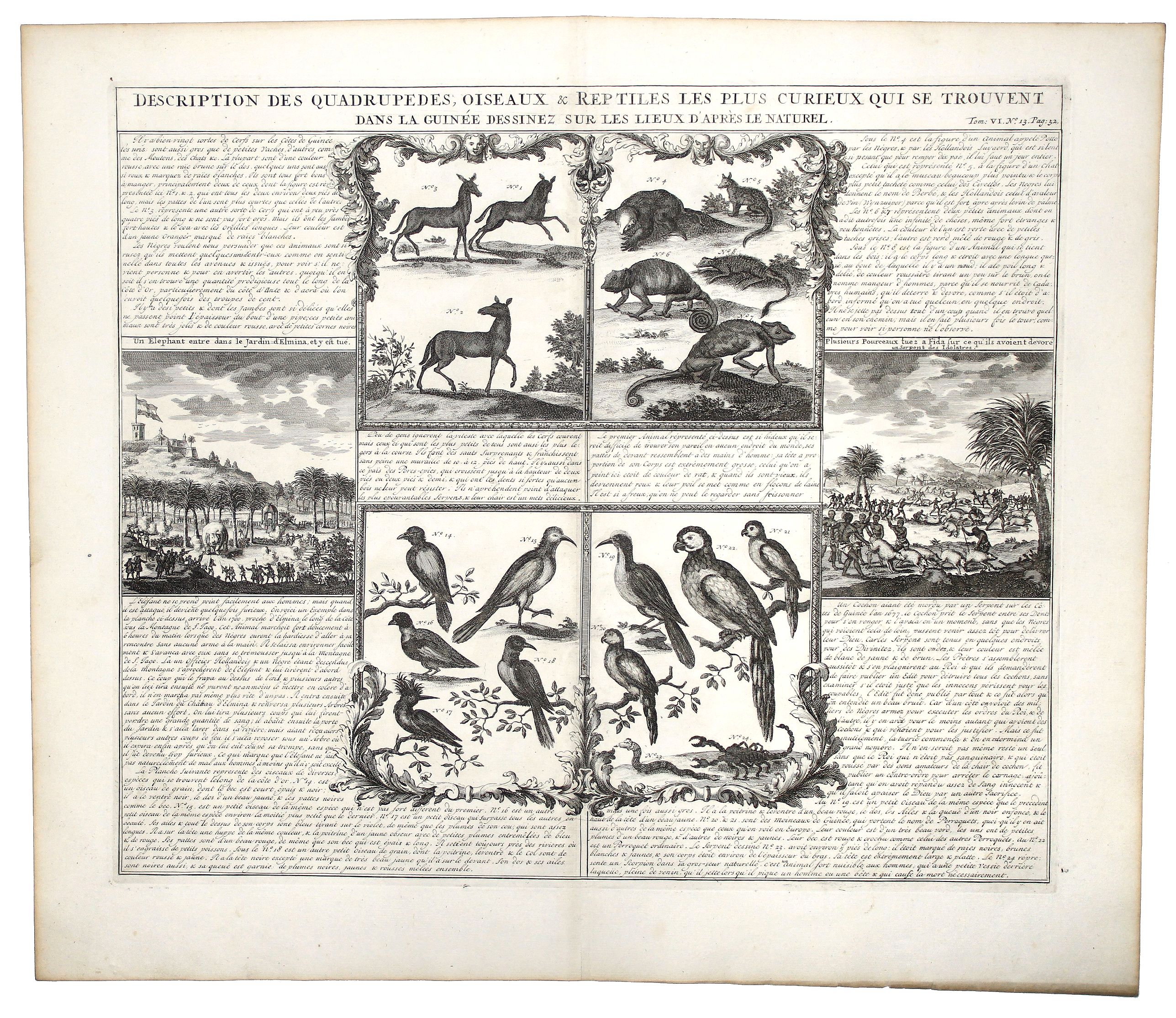 CHATELAIN, H., DESCRIPTION DES QUADRUPEDES, OISEAUX & REPTILES LES PLUS CURIEUX QUI SE TROUVENT DANS LA GUINEE . . ., antique map, old maps