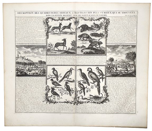 CHATELAIN, H., DESCRIPTION DES QUADRUPEDES, OISEAUX & REPTILES LES PLUS CURIEUX QUI SE TROUVENT DANS LA GUINEE . . ., antique map, old maps
