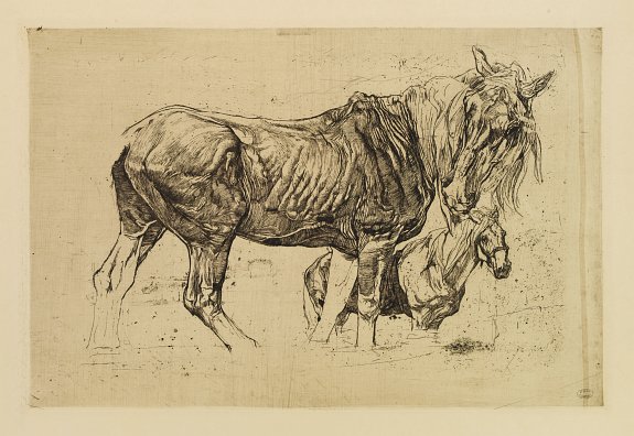 DUPONT, P., Study of two Horses., antique map, old maps