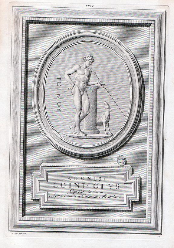 PICART, B., ADONIS . COINI . OPUS ONYCHI INCISUM APUD COMITEM MEDIOLANI., antique map, old maps