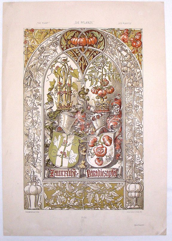 DOEPLER, D., Die Pflanze (The Plant)., antique map, old maps