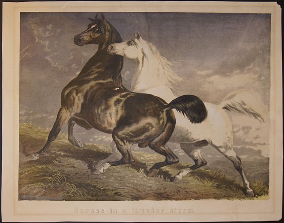 ANONYMOUS, Horses in a thunder storm., antique map, old maps
