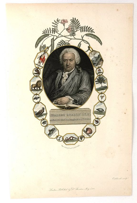 CALDWALL., Charles Bonnet, F.R.S., Author of the Contemplation of Nature, antique map, old maps