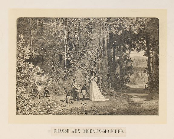 DARGENT, J. E. (Yan'Dargent), Chasse aux oiseaux-mouches., antique map, old maps
