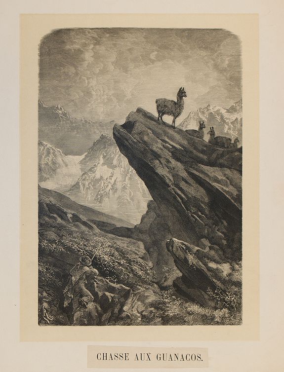 RIOU, Chasse au guanacos., antique map, old maps