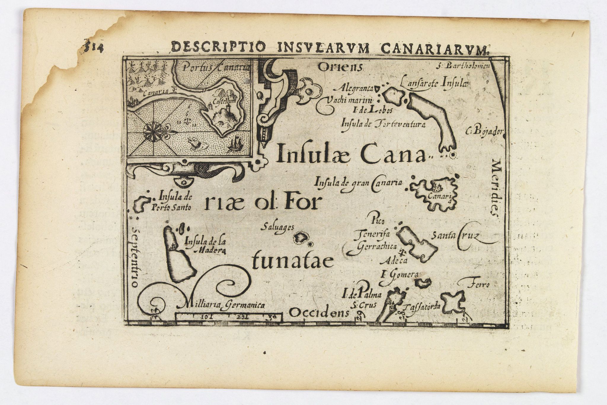 Descriptio Insularum Canariarum