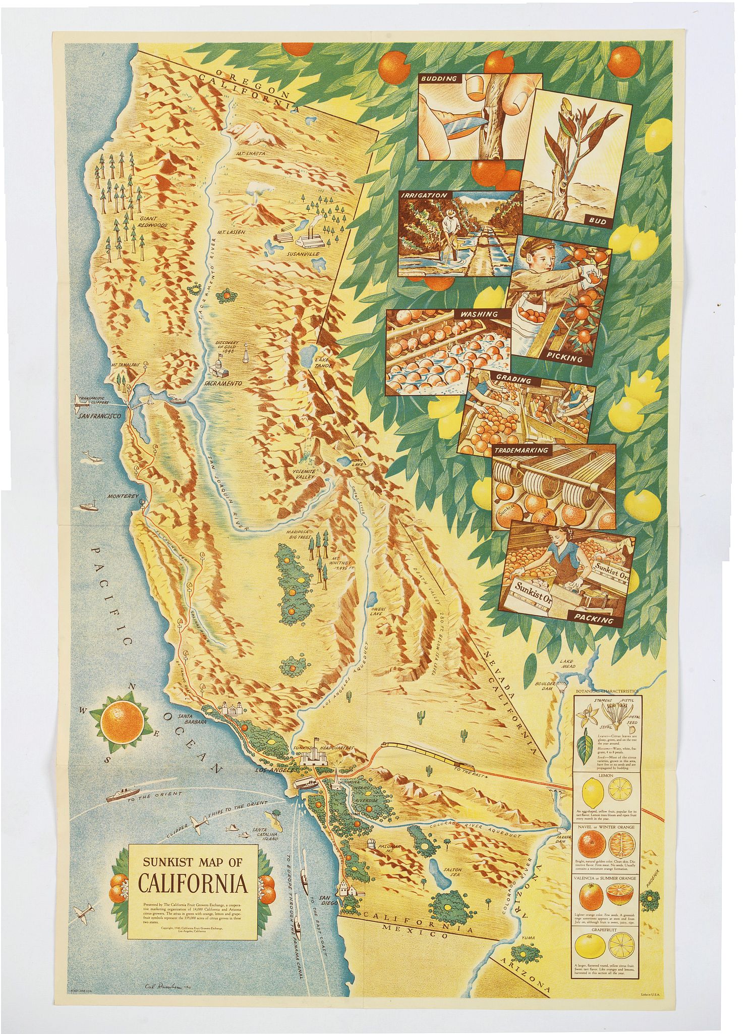 Sunkist Map of California