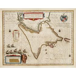 Tabula Magellanica.