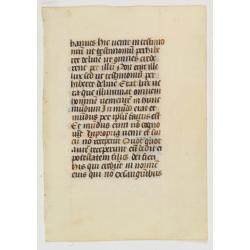 Manuscript leaf on vellum written in a late gothic hand.