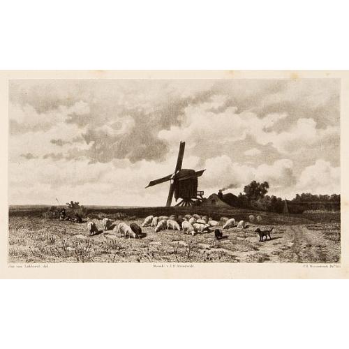 Dutch windmill with sheeps.