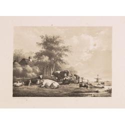 Dutch landscape with cows and windmill.