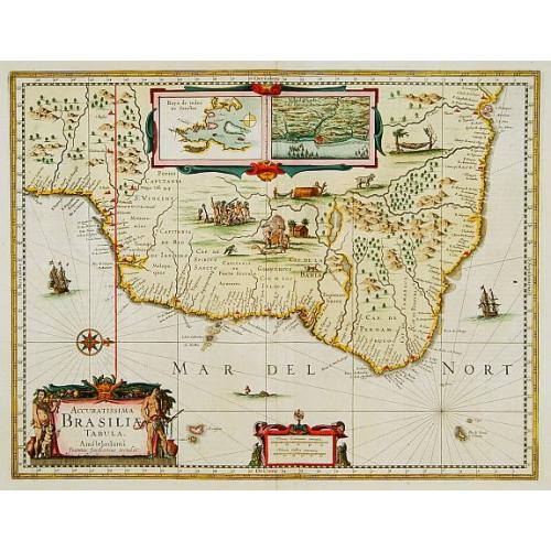 Old map image download for Accuratissima Brasiliae Tabula..