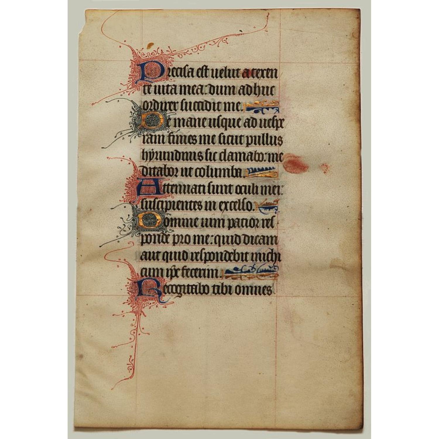 Leaf on vellum from a manuscript Book of Hours.
