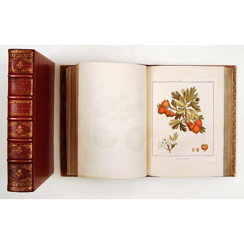 Traité des arbres fruitiers contenant leur figure, leur description, leur culture, &c.