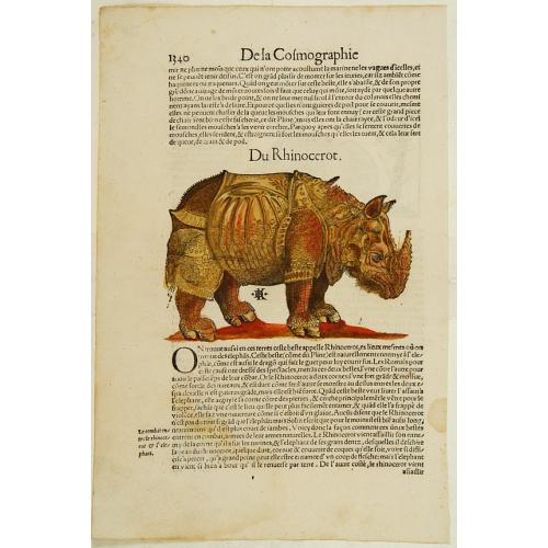 Rhino. On verso elephant.