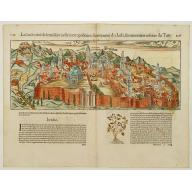 Old map image download for La Sainte cité de Jérusalem jadiz métropolitaine du royaume des juifz...
