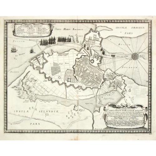 Old map image download for Delineatio Geometrica Urbis Haffniae Daniae Regnum.