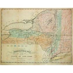 Agricultural Map of the State of New York.