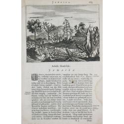 [Lot of 22 maps / prints] Kaart van Mexico en Nieuw Granada in de Spaansche West-Indien.