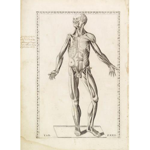 Old map image download for Anatomical print. TAB. XXXII.