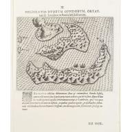 Old, Antique map image download for XI. Delineatio Duorum Oppidorum, Ortattani & Londorae in Banda Insula sitorum.