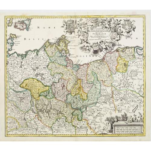 Old map image download for Marchionatus Brandenburgensis Ducatus Pomeraniae et Ducatus Mecklenburgicus..