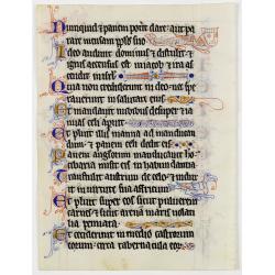 Illuminated leaf from a lithurgical Psalter.