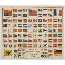 A Chart of National Flags. Published by Henry Bill. New York.