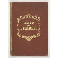 Souvenirs des Pyrénées. Vues prises aux environs des eaux thermales de Bagnères-de-Bigorre, Bagnères-de-Luchon, Cauteretz, Saint-Sauveur, Barèges, Les-eaux-Bonnes, Les-Eaux-Chaudes & Pau.