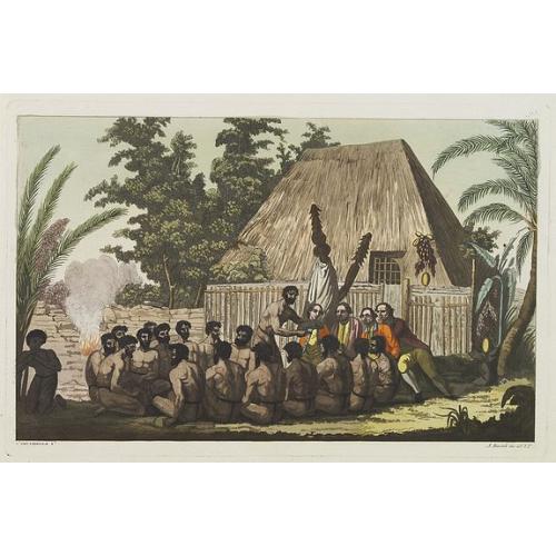[Captain Cook's arrival - Hawaii ].