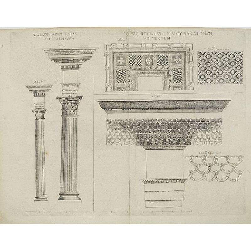 Columnarum Typus ad mensura / Opus Retia Culi Malocranaiorum.