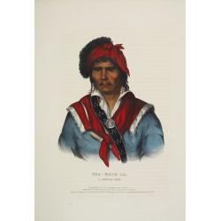 Nea-Math-La, a Seminole Chief.