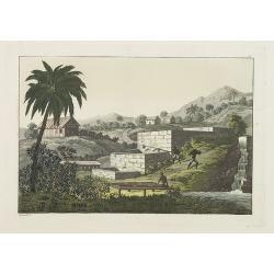 Image download for [Slave labor on an indigo plantation ].