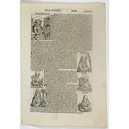 Sexta Etas Mundi. Folium. CXXXV