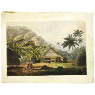 View in the island of Cracatoa. [Rakata in the Sunda Strait]