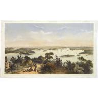(The City And Harbour Of Sydney From Near Vaucluse.)