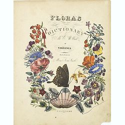 [Title page] Flora's dictionary by Mrs. E.W. Wirt of Virginia.