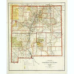 Department of the interior . . . Territory of New Mexico Compiled from the official Records. . .