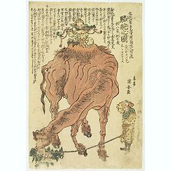 Rakuda no zu [Camel]