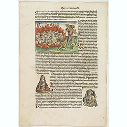 [Jews burned alive during the southern German pogroms of 1298 ] Terta etas mudi Folio CCXX.