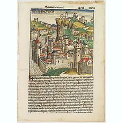 Tercia Etas Mundi. Folium.XLVI (A English town view)