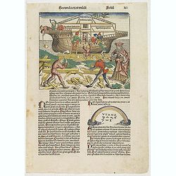 Secunda etas mudi [The arch of Noah]. Folio XI.
