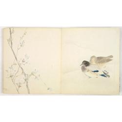 3 Japanese albums
